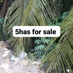 Commercial lot in panabo city 