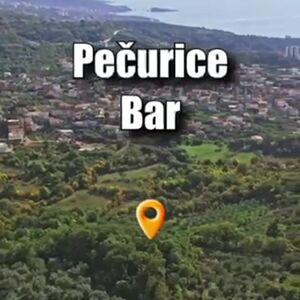 Land plot for sale in Pechuritsa, Bar