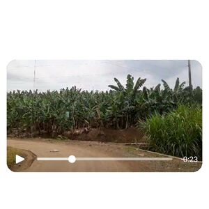 Farm lot in Davao city 