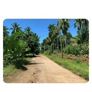 Farm lot in Davao city 