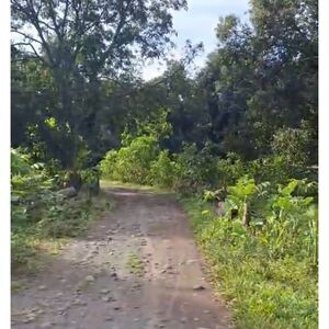 Farm lot in digos city 