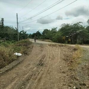 Farm lot in panabo city 
