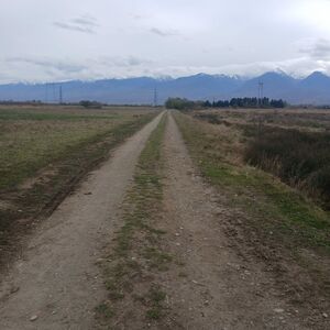 LAND FOR SALE - ROMANIA | C&acirc;rțișoara | Near B&acirc;lea