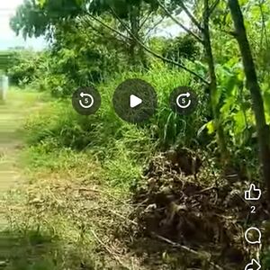 Farm lot in panabo city 