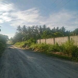 Farm lot in Davao city 