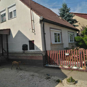 Ferienhaus in Ungarn Hungary S&aacute;rv&aacute;r