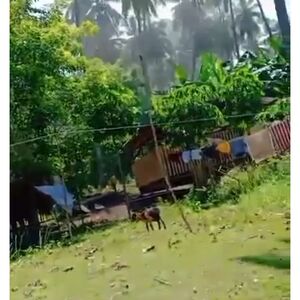 Beach lot in samal island, Philippines 