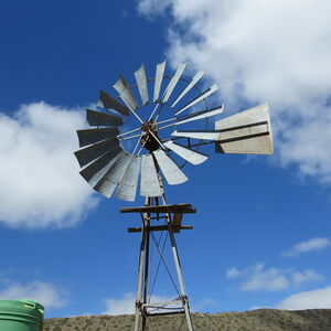 Mesmerising Expanse (593)