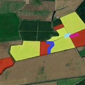 WALNUT ORCHARD: HIGH-POTENTIAL AGRICULTURAL BUSINESS &ndash;74.9ha
