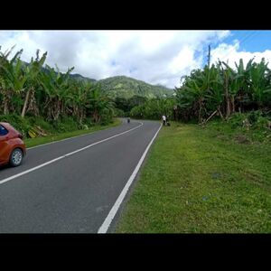 Farm lot in maragusan 