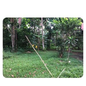 Commercial lot in Davao city 