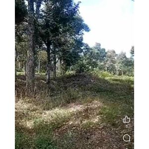 Farm lot in Davao city 