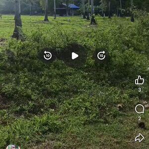 Farm lot in samal island, Philippines 