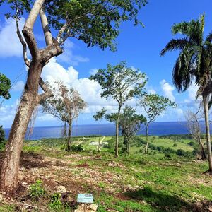 Land with prime location and Ocean View in Cabrera 
