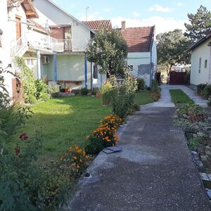 I am selling a house in Temerin with a shop and 3 separate a