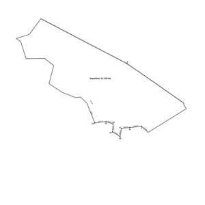 Agricultural and livestock land 13000 hectare in Paraguay
