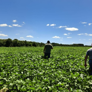 109-HECTARE AGRICULTURAL PROPERTY