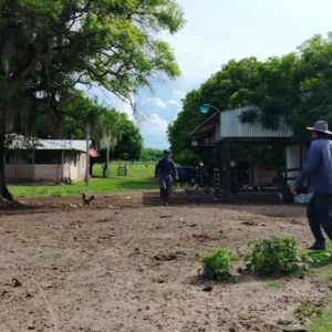 432 has for Sale in Tuparenda Area, Caazap&aacute;