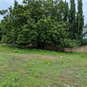 REGISTED 1 ACRES OF LAND FOR SALE@DZORWULU:$5M
