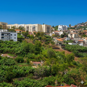 Land 5270m2,   Pilar area, S&atilde;o Martinho, Madeira Island