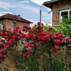Residential Property with an Operational 30 kW Solar Power 