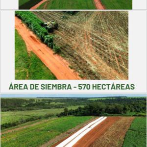 (14) Farm of 638 has. zona San Pedro