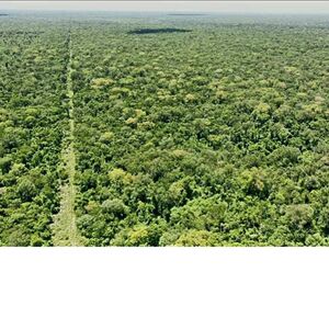 (7) Ranch of 91000 has. Paraguay