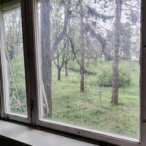 I am selling a one-room apartment in Brace Jerkovic-Belgrade