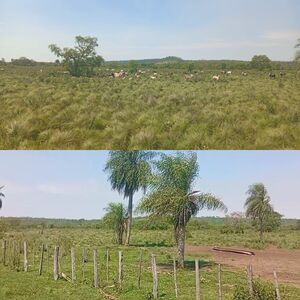 (4) Property of 1,159 Hectares in Concepci&oacute;n, PY