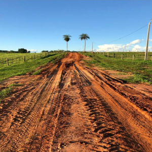 (8) 435 has of agriculture in Paraguay