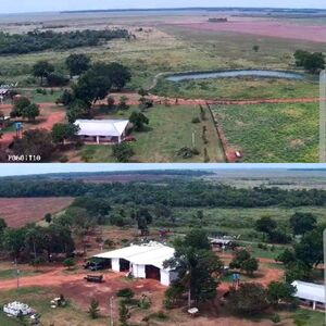 (14) Agriculture of 374 has in dep San Pedro