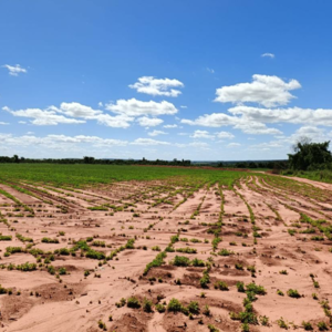  (1) agricultural property of 286 has Yhu, Caaguazu, PY