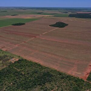 (15) 381 has Itanar&aacute;, Canindey&uacute;, Paraguay