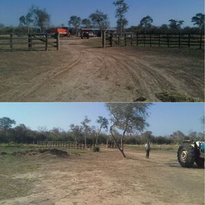 (4) Ranch of 3500 has. in Alto Paraguay, PY