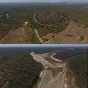 (4) Ranch of 3729 has. in Puerto Pinasco, Paraguay
