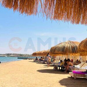CAMUS 212 B, PRINCESS RESORT  Studio Brivate Beach