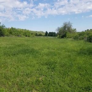 Plots for sale in Beočin-Sakotinac