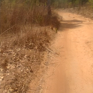 Plot of land for sale 