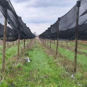 Agricultural land with anti-hail network and facilities