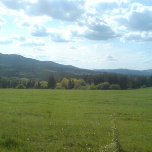 A regulated plot for sale in the Mineral Springs area