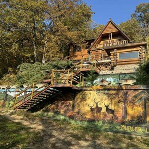 Fairytale log house 