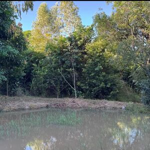 2,000m&sup2; Food Forest with Spring, 2 Ponds & 80+ Fruit Trees