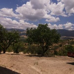Panoramic House and land in Sicily - Salvo Cda Boschetto