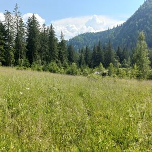 Extravillan mountainous plot