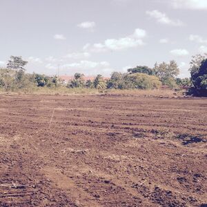 7-Hectare Residential Site in Arraij&aacute;n, Panam&agrave;