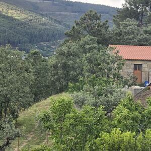 Quinta com casa rural geminada, Teixoso, Covilh&atilde;