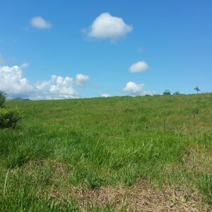 Titled 600 m&sup2; Lot near Tarapoto, Peru - Mountain Views