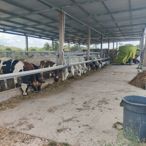 Productive Farm for livestock or agriculture