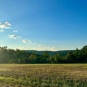Super cheap! 2 x .5 acre building plots with beautiful views