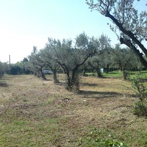 Commercial land in Italy, Trabocchi Coast region